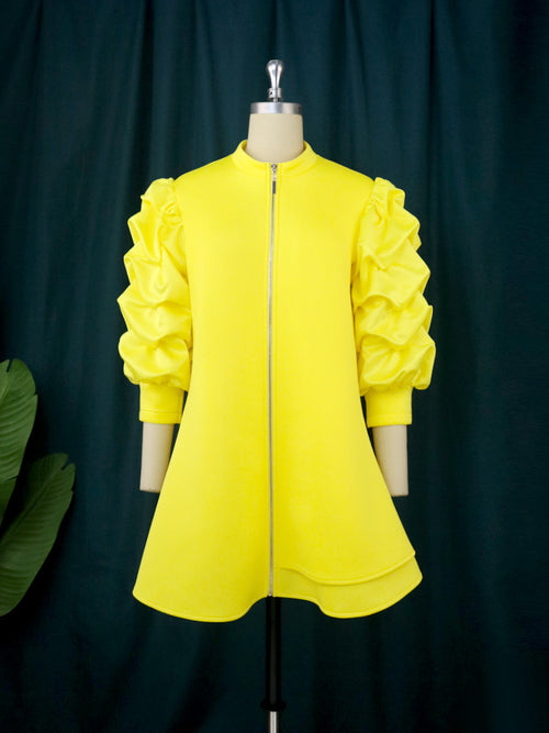 Small Stand Collar Mini Dress